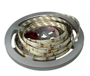Лента 3528, 4,8 Вт/м, 6500К, IP65, 60 LED/м, 420 Лм/м, 5м*8мм (Premium L2)